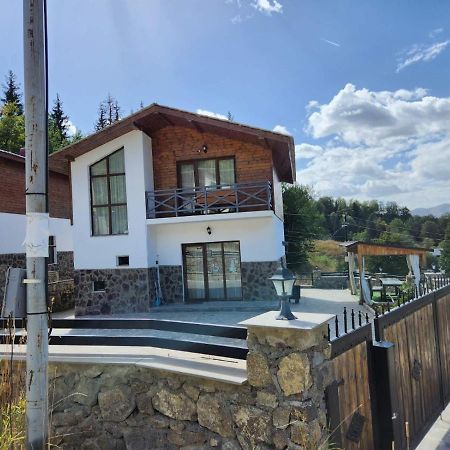 Villa In Mountains バクリアニ エクステリア 写真