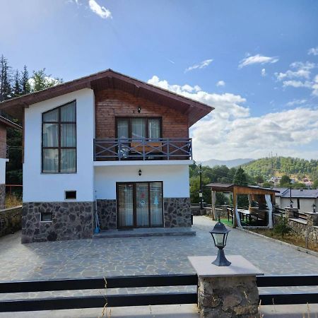 Villa In Mountains バクリアニ エクステリア 写真