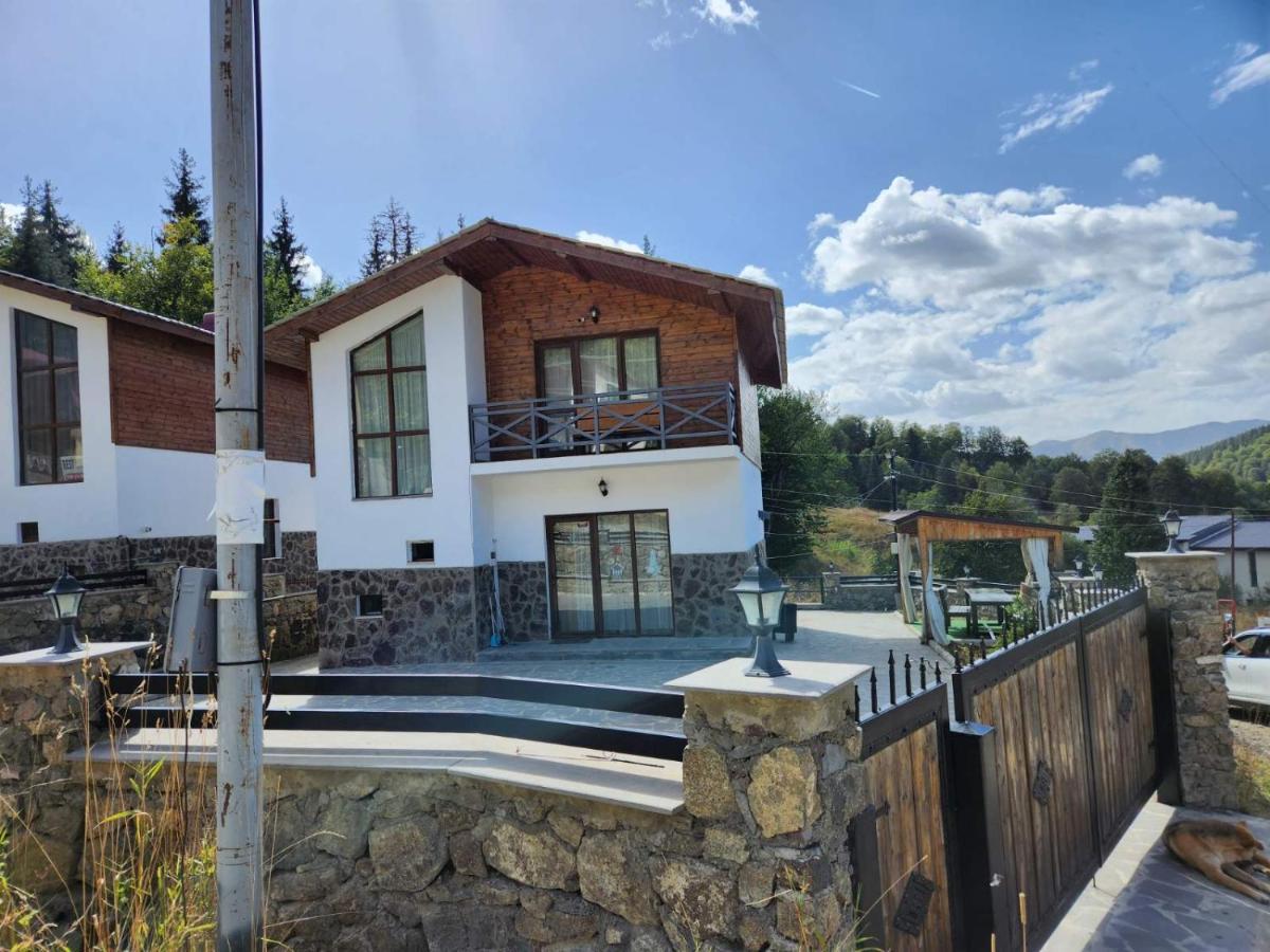 Villa In Mountains バクリアニ エクステリア 写真