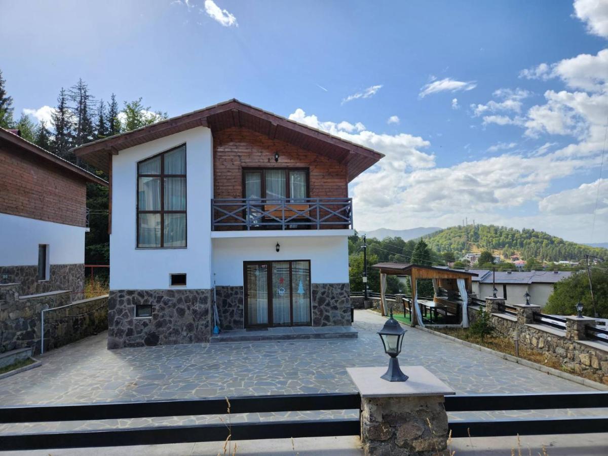 Villa In Mountains バクリアニ エクステリア 写真