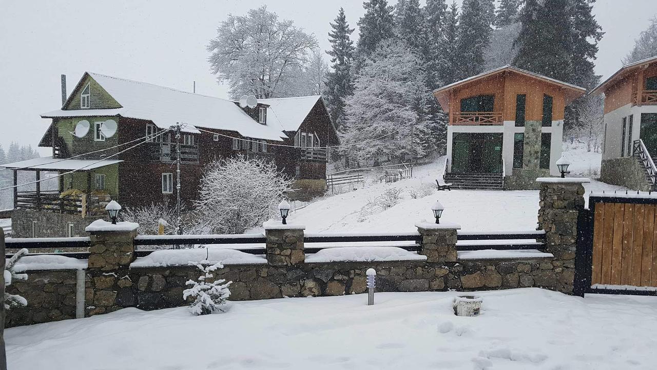 Villa In Mountains バクリアニ エクステリア 写真