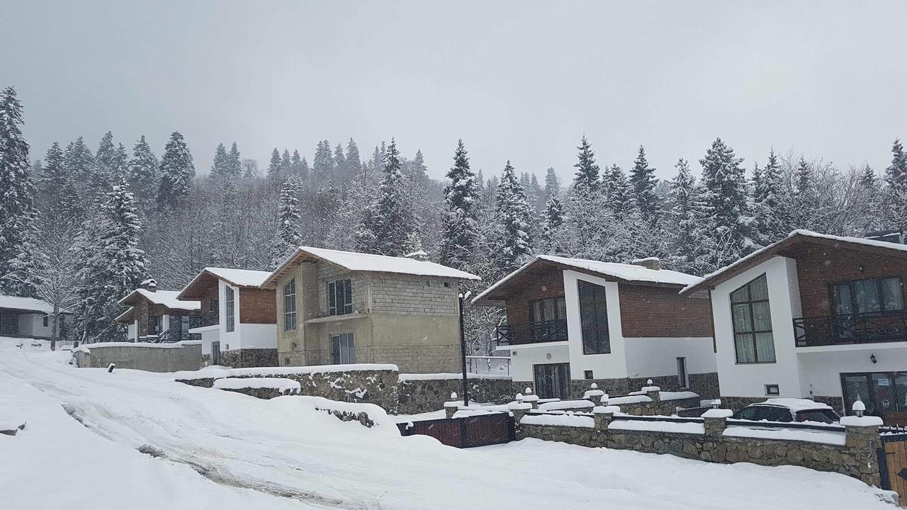 Villa In Mountains バクリアニ エクステリア 写真