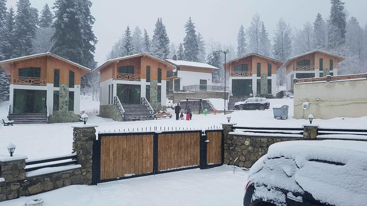 Villa In Mountains バクリアニ エクステリア 写真