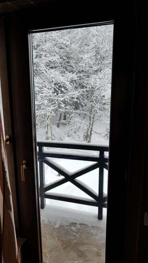Villa In Mountains バクリアニ エクステリア 写真
