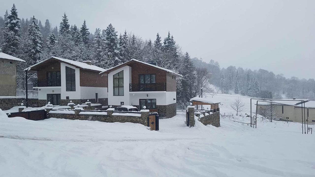 Villa In Mountains バクリアニ エクステリア 写真