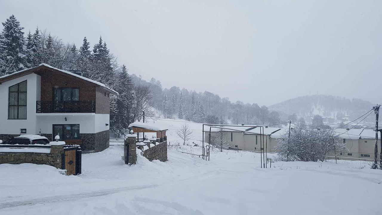 Villa In Mountains バクリアニ エクステリア 写真