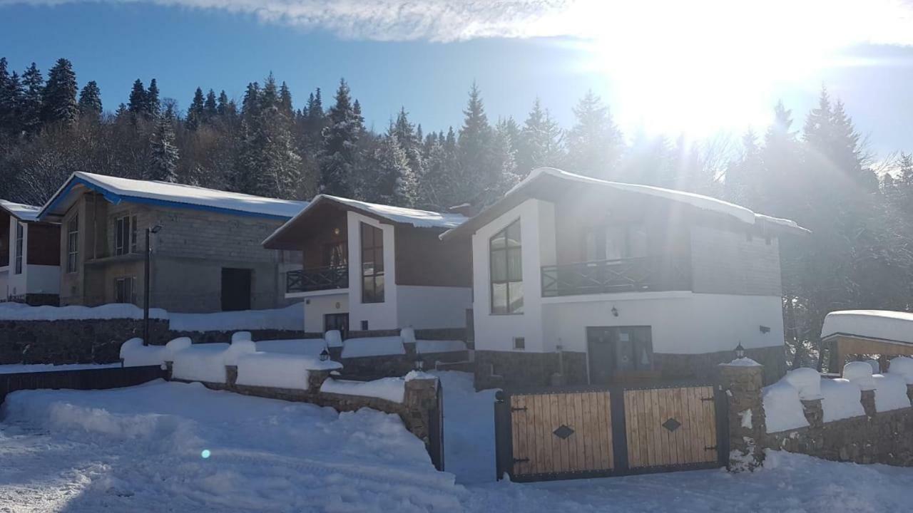 Villa In Mountains バクリアニ エクステリア 写真